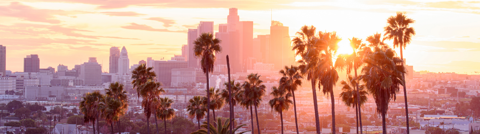 Los Angeles Skyline United States of America 