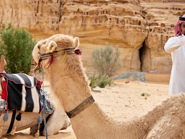 The Gulf Desert 