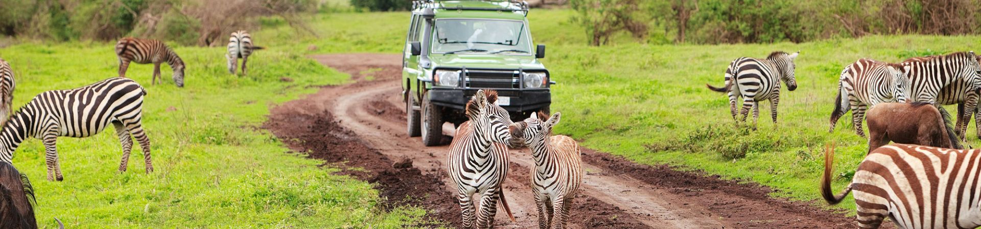 Safari tour holiday 