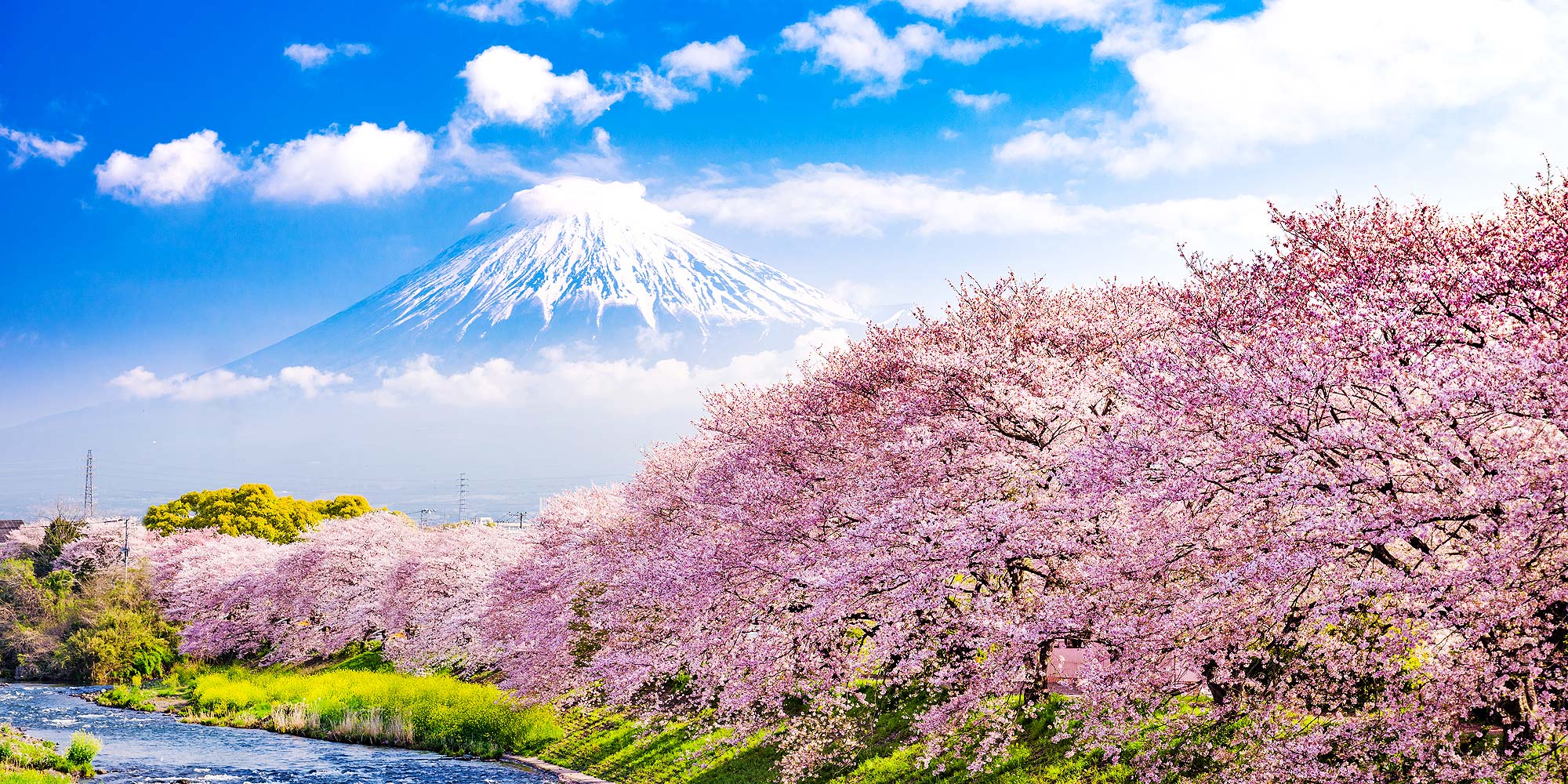 Japan Holidays & Travel Packages | Qatar Airways Holidays