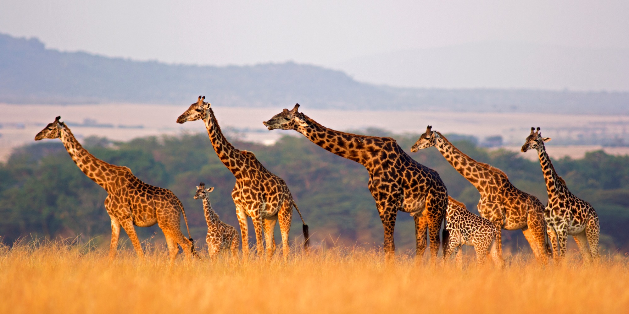 kenya tour packages from qatar