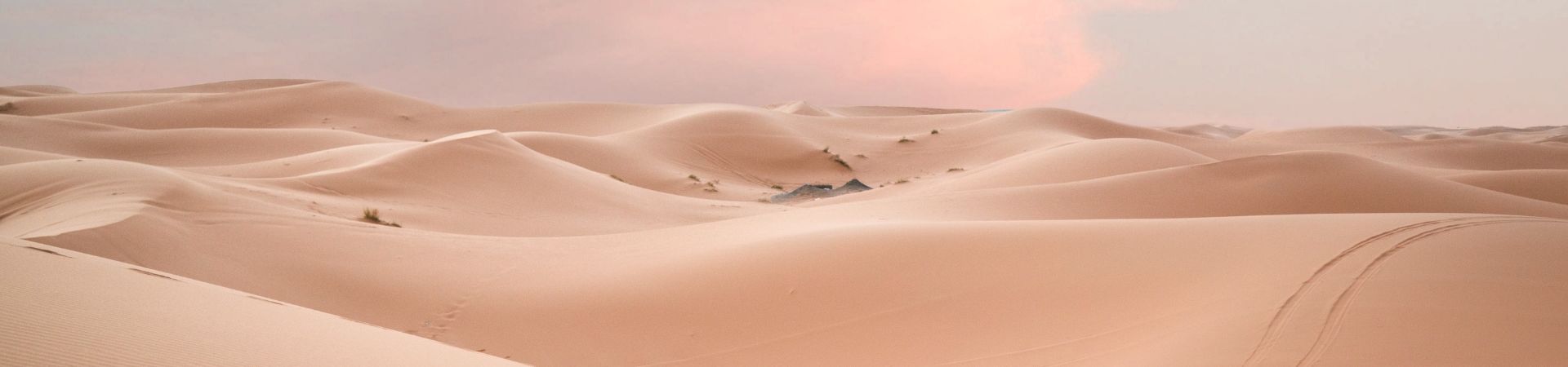 Holiday packages & Hotels in the Middle East