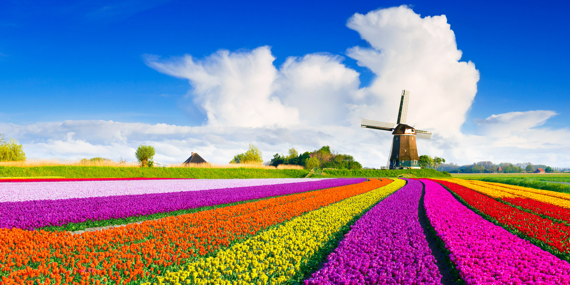 Netherlands Holidays & Travel Packages | Qatar Airways Holidays