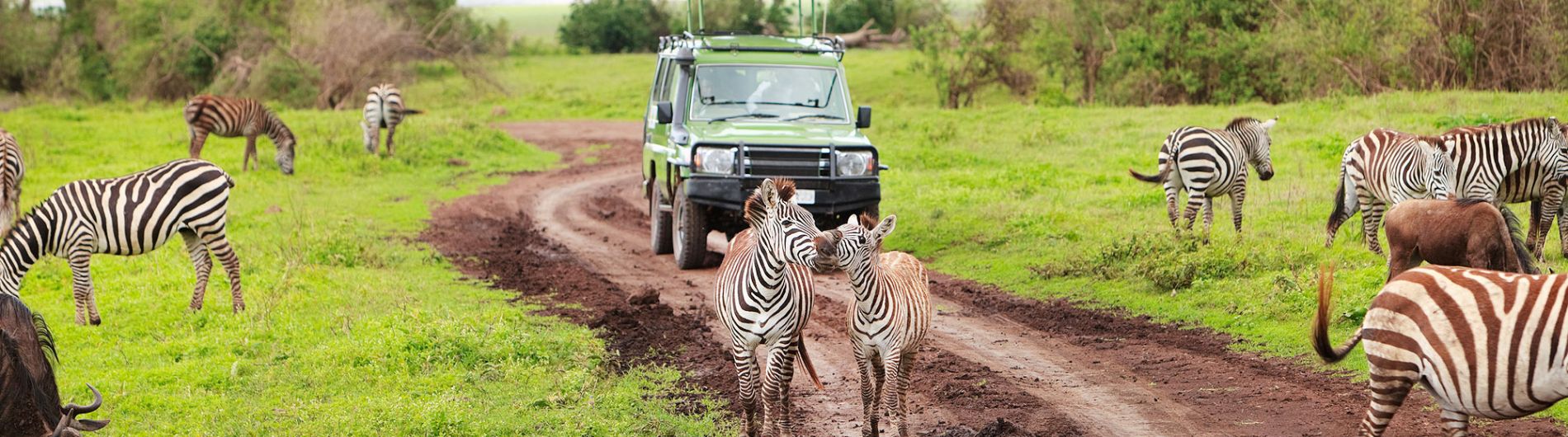 Safari tour holiday 